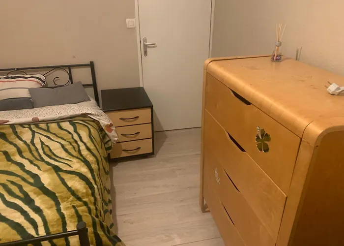 Meublee Et Lumineuse Centre De * Tours